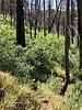 photo thumbnail #12