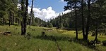 photo thumbnail #7