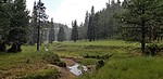 photo thumbnail #9