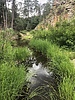 photo thumbnail #6