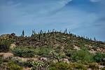 photo thumbnail #11