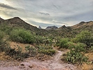 photo thumbnail #7