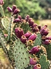 photo thumbnail #15