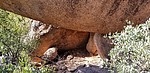 photo thumbnail #12