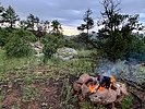 photo thumbnail #5