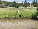 photo thumbnail #14