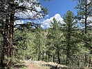 photo thumbnail #15