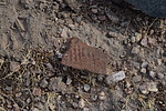 photo thumbnail #8