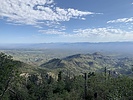 photo thumbnail #2