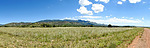 2019-08-13 :: Huachuca Mountains-Southern Side :: rwstorm