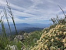 photo thumbnail #9