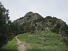 photo thumbnail #4