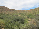 photo thumbnail #1