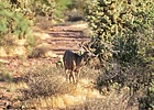photo thumbnail #14