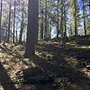 photo thumbnail #6