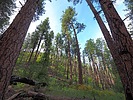 photo thumbnail #8