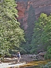 photo thumbnail #15