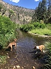 photo thumbnail #2