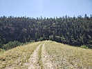 photo thumbnail #2