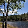 photo thumbnail #7