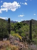 photo thumbnail #12