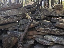 photo thumbnail #3
