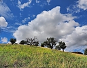 photo thumbnail #15