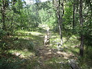 photo thumbnail #5