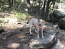 photo thumbnail #7