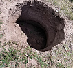 photo thumbnail #14