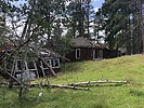 photo thumbnail #2