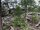 photo thumbnail #14
