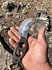 photo thumbnail #1