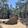 photo thumbnail #4