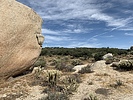 photo thumbnail #1