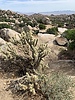 photo thumbnail #2