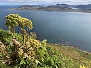 photo thumbnail #11