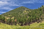 photo thumbnail #5