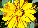 photo thumbnail #3