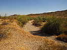 photo thumbnail #4