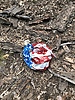 photo thumbnail #5
