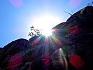 photo thumbnail #12