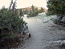 photo thumbnail #6
