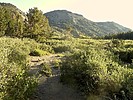 photo thumbnail #12