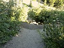 photo thumbnail #13