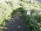 photo thumbnail #15