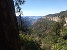 photo thumbnail #6