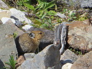 photo thumbnail #11