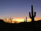 photo thumbnail #3
