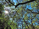 photo thumbnail #14